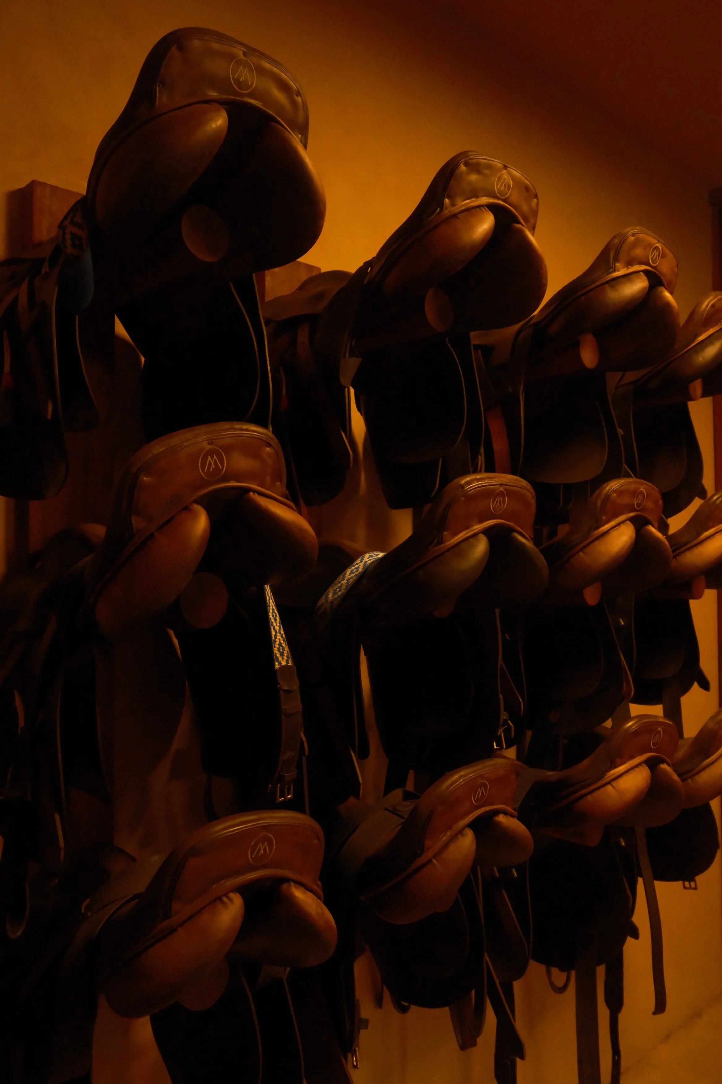 A wall with multiple black leather horse riding helmets hanging on hooks in a dimly lit room.