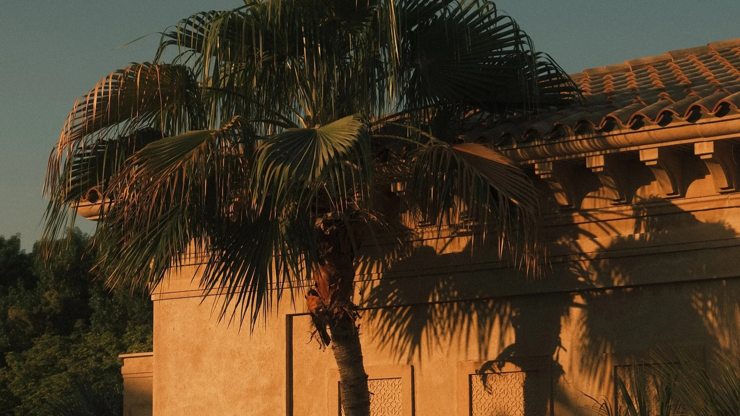 A palm tree casting shadows on a beige stucco building with a tiled roof during sunset or dusk.