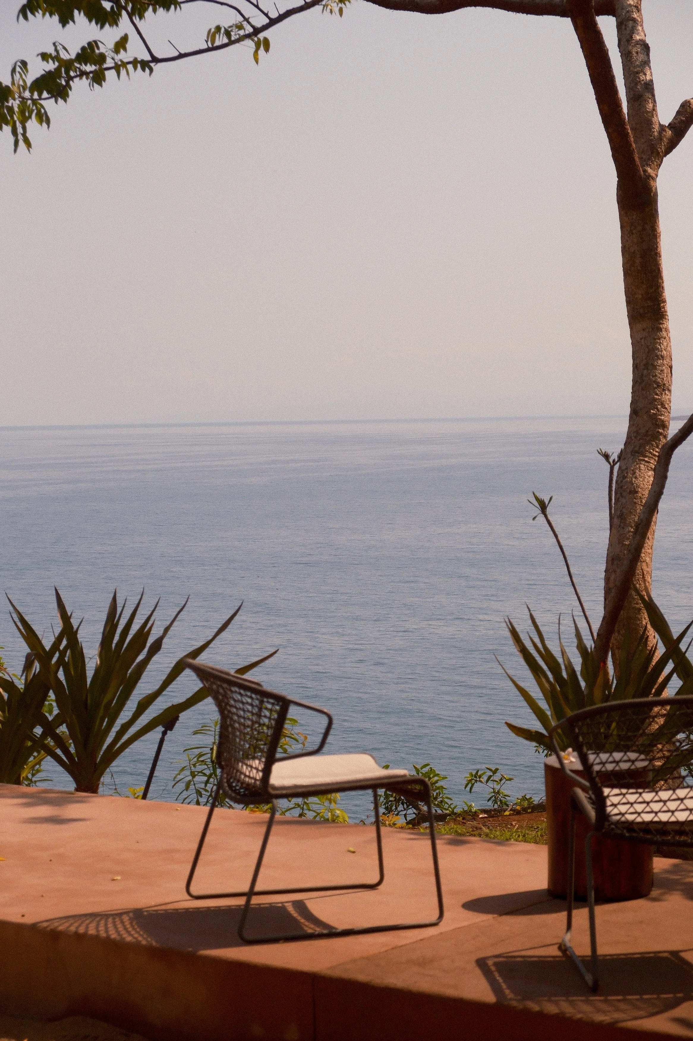 Outdoor patio with black metal chairs, a table, and potted plants overlooking a calm body of water and a tree with branches.