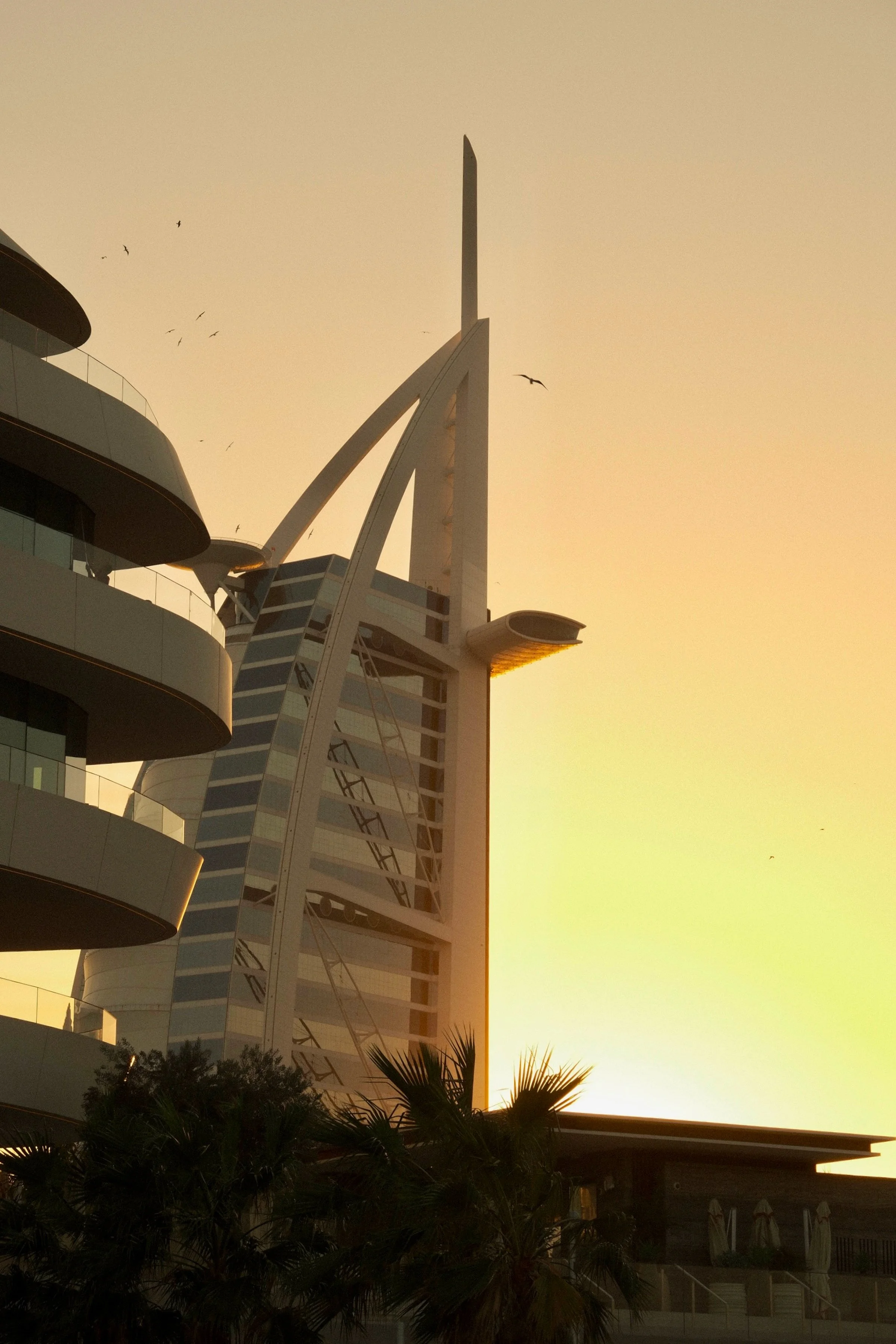 A modern building with curved balconies is seen at sunset, with a clear sky and birds flying in the background. Palm trees are visible in the foreground.