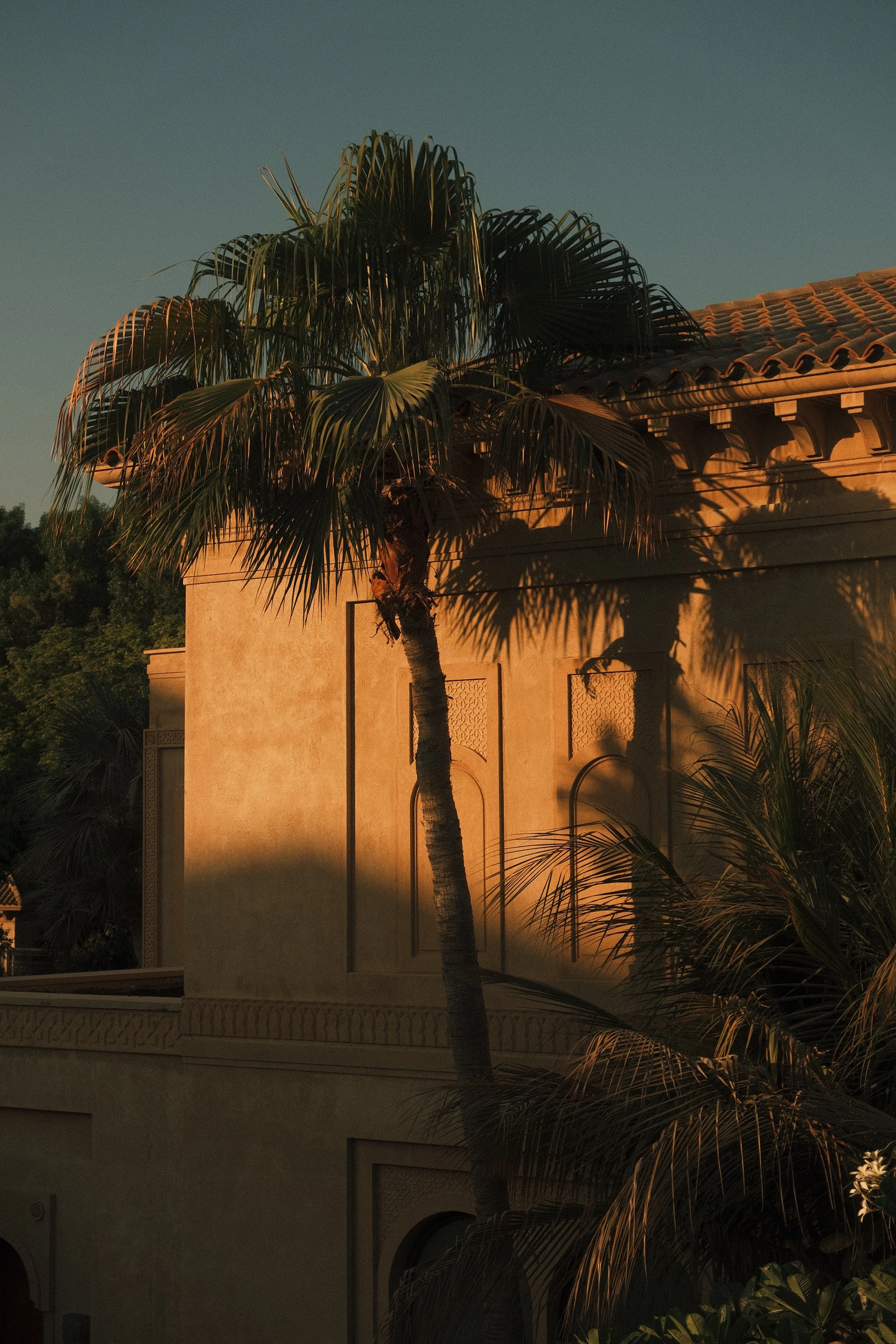 Sunset view of a building with Arabic-style architecture surrounded by palm trees and greenery.