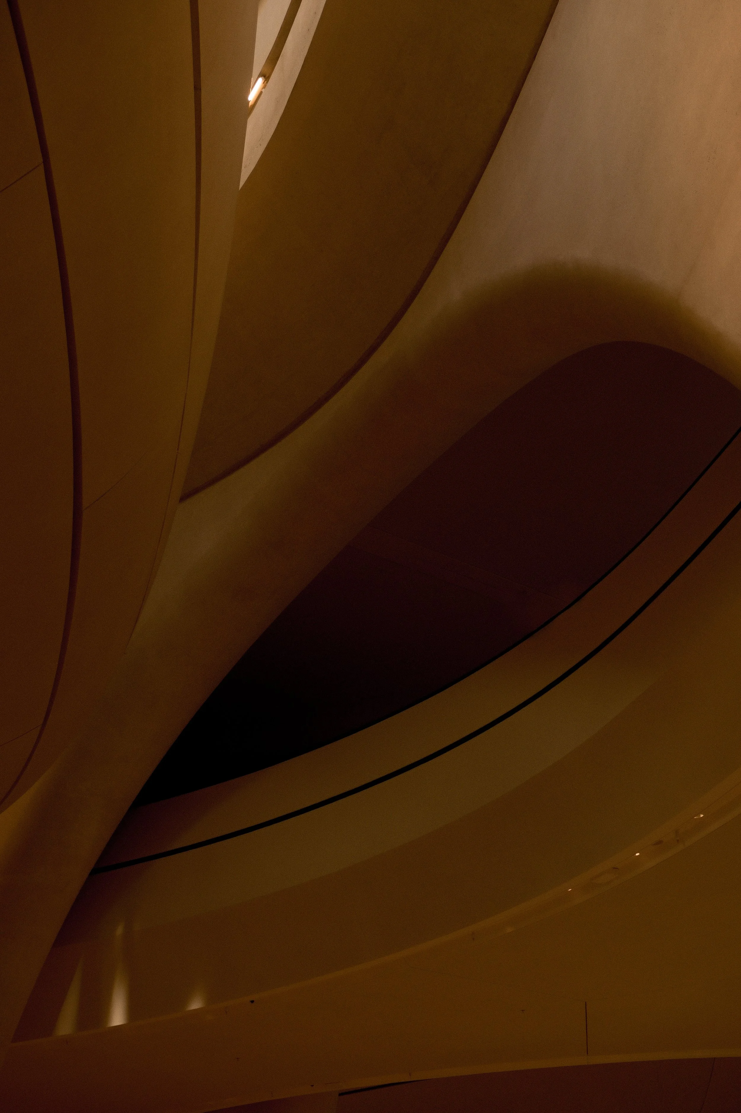 The ceiling of a building with curved architectural design and a small light fixture.