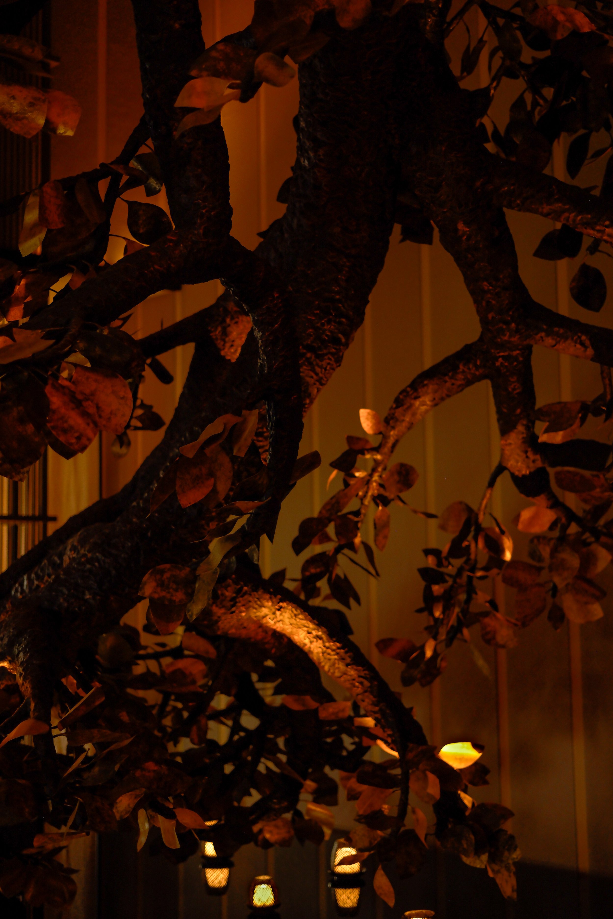 Close-up of tree branches with brown leaves at night, illuminated by warm lighting, with lanterns in the background.