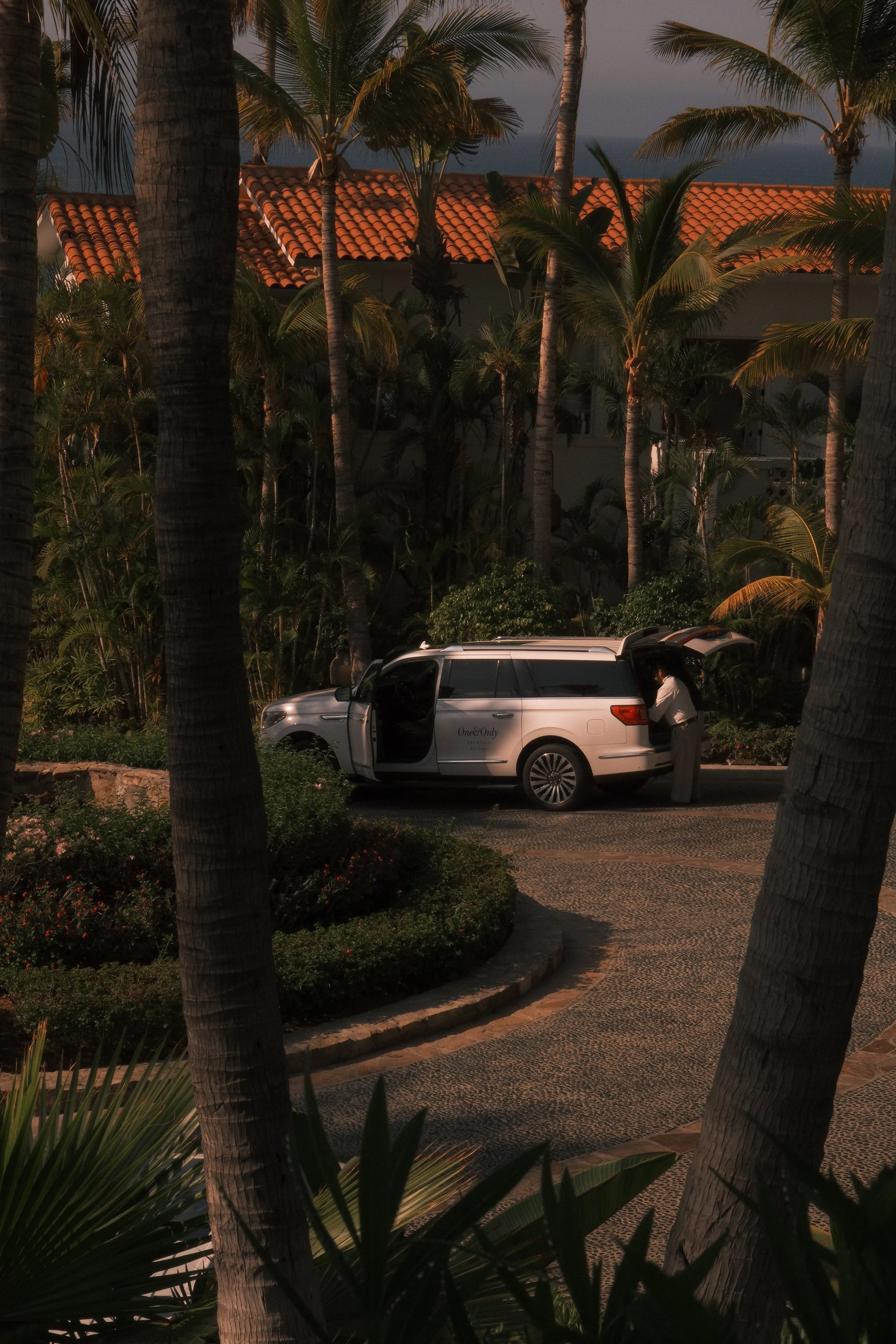 A tropical scene with tall palm trees, a building with a red tile roof, and a person near a parked white minivan, during twilight or early evening.
