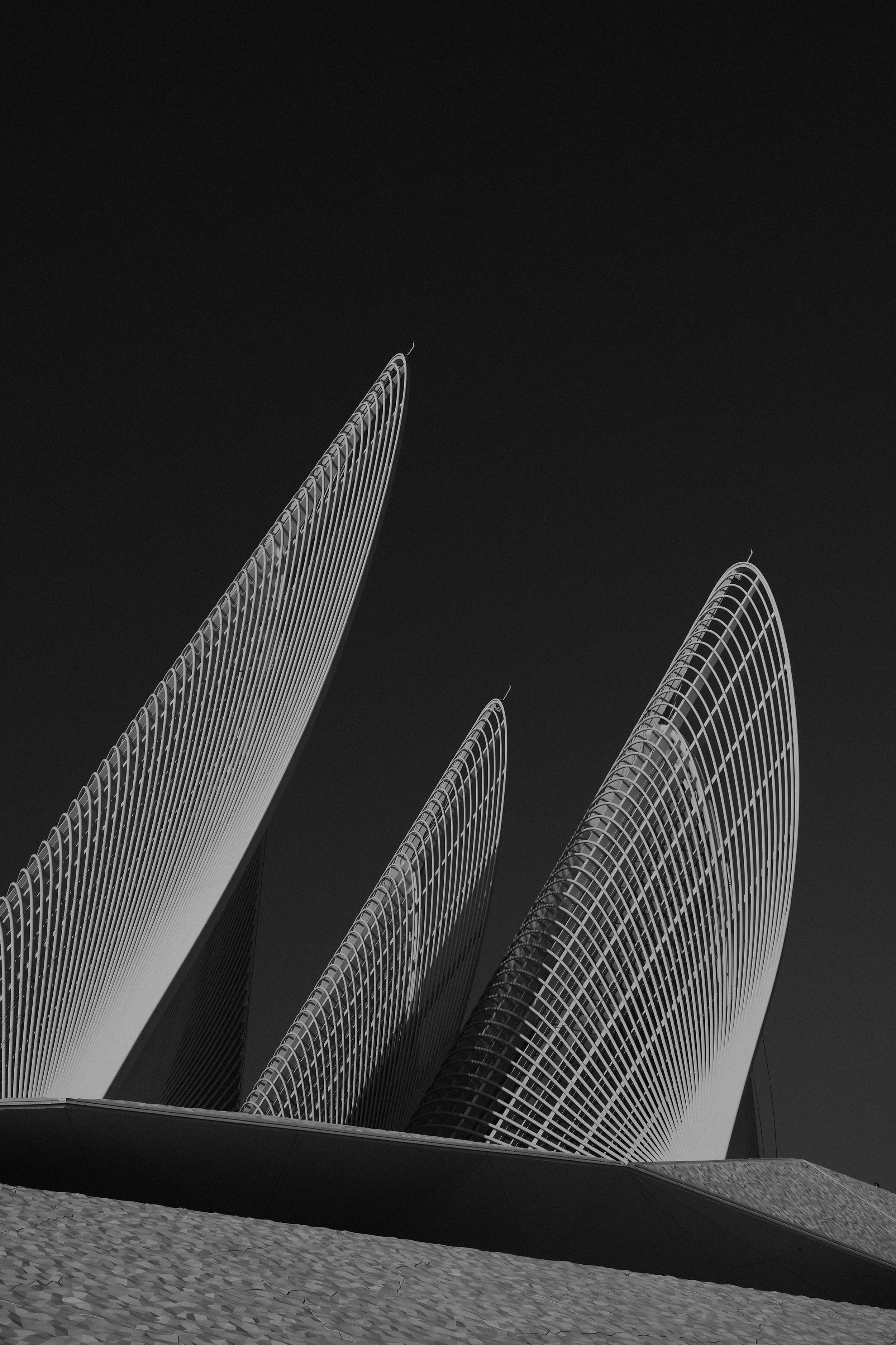 Black and white photo of a modern architectural building with tall, curved, ribbed structures extending upward, set against a dark sky.