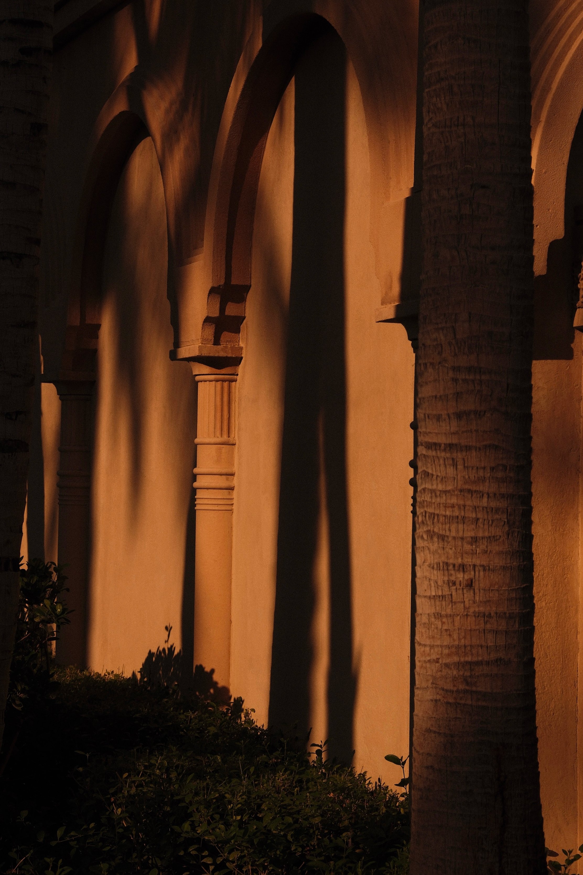 Nighttime view of a series of arches illuminated with warm lighting, casting shadows on a beige wall, with palm trees visible on the right side and bushes in the foreground.