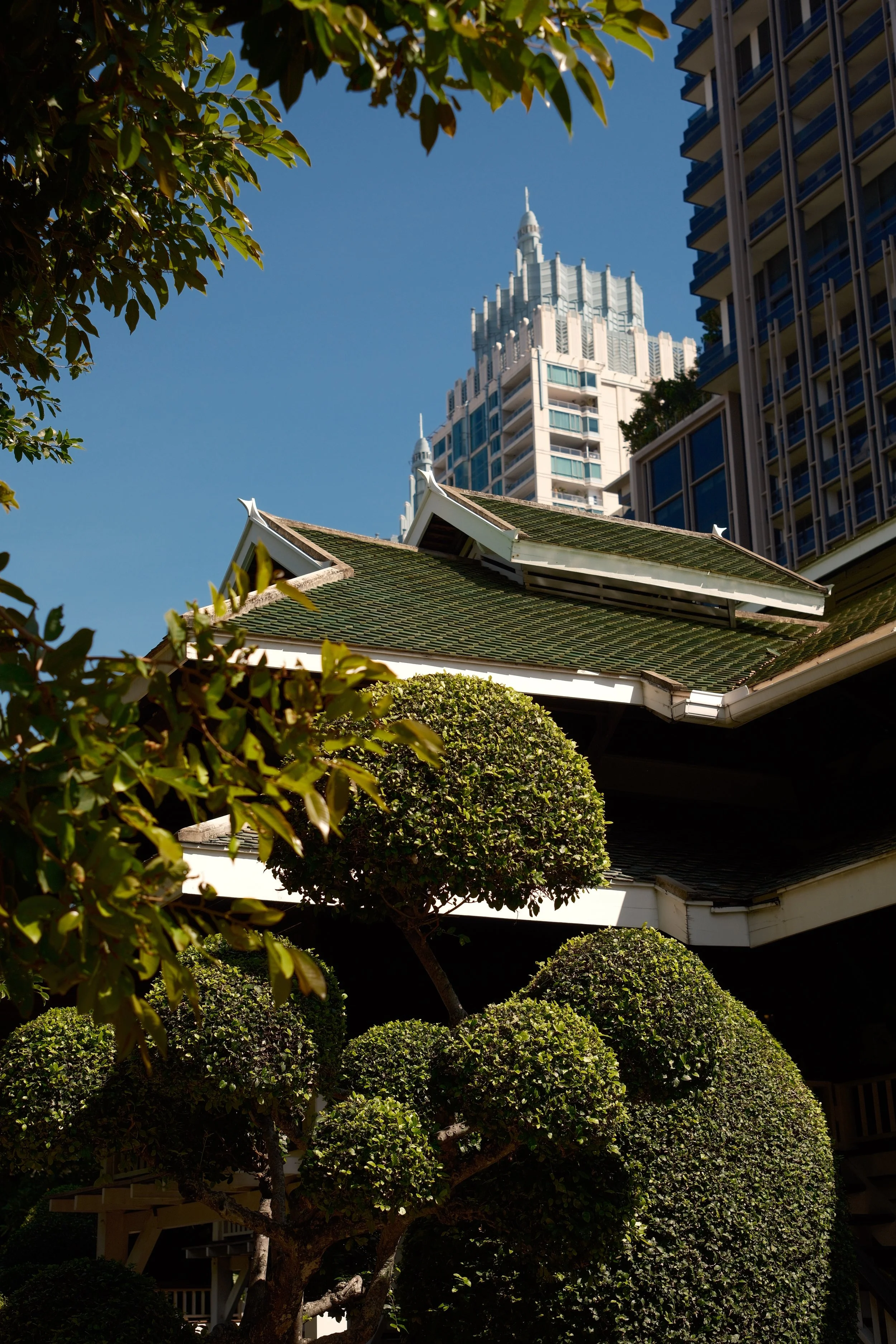 A tall modern skyscraper in the background with a smaller traditional building and well-manicured shrubs and trees in the foreground.