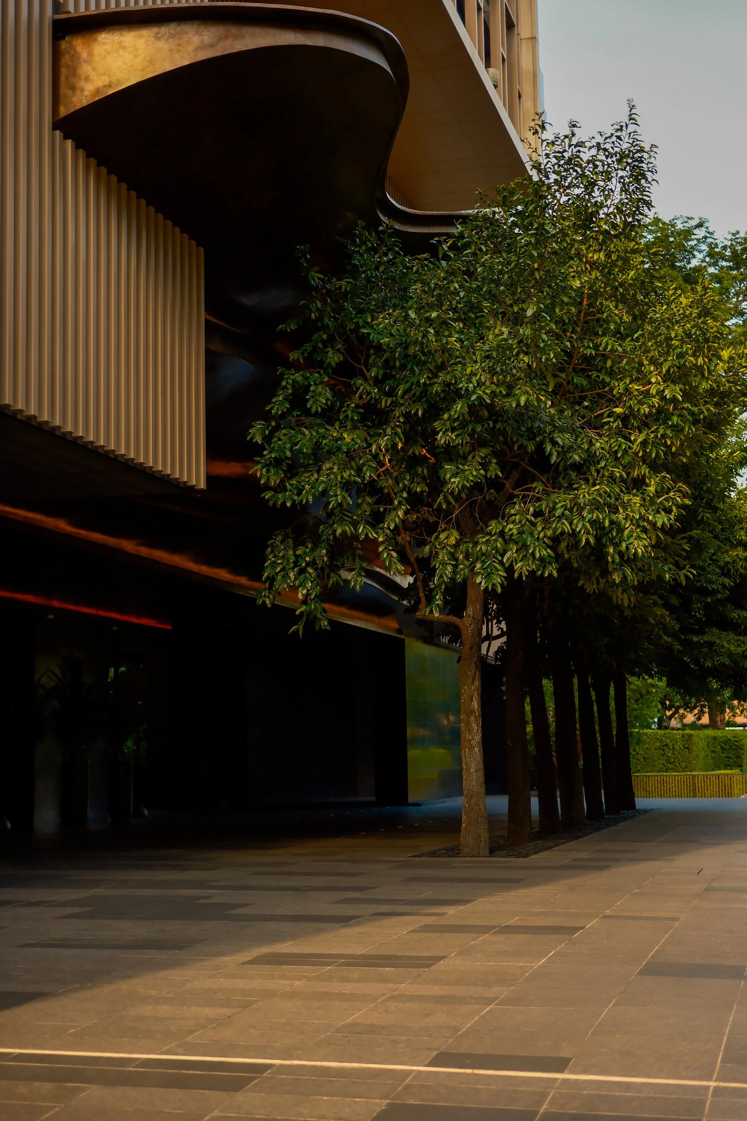 Modern building with curved architectural design, surrounded by trees and paved walkway, during daytime.
