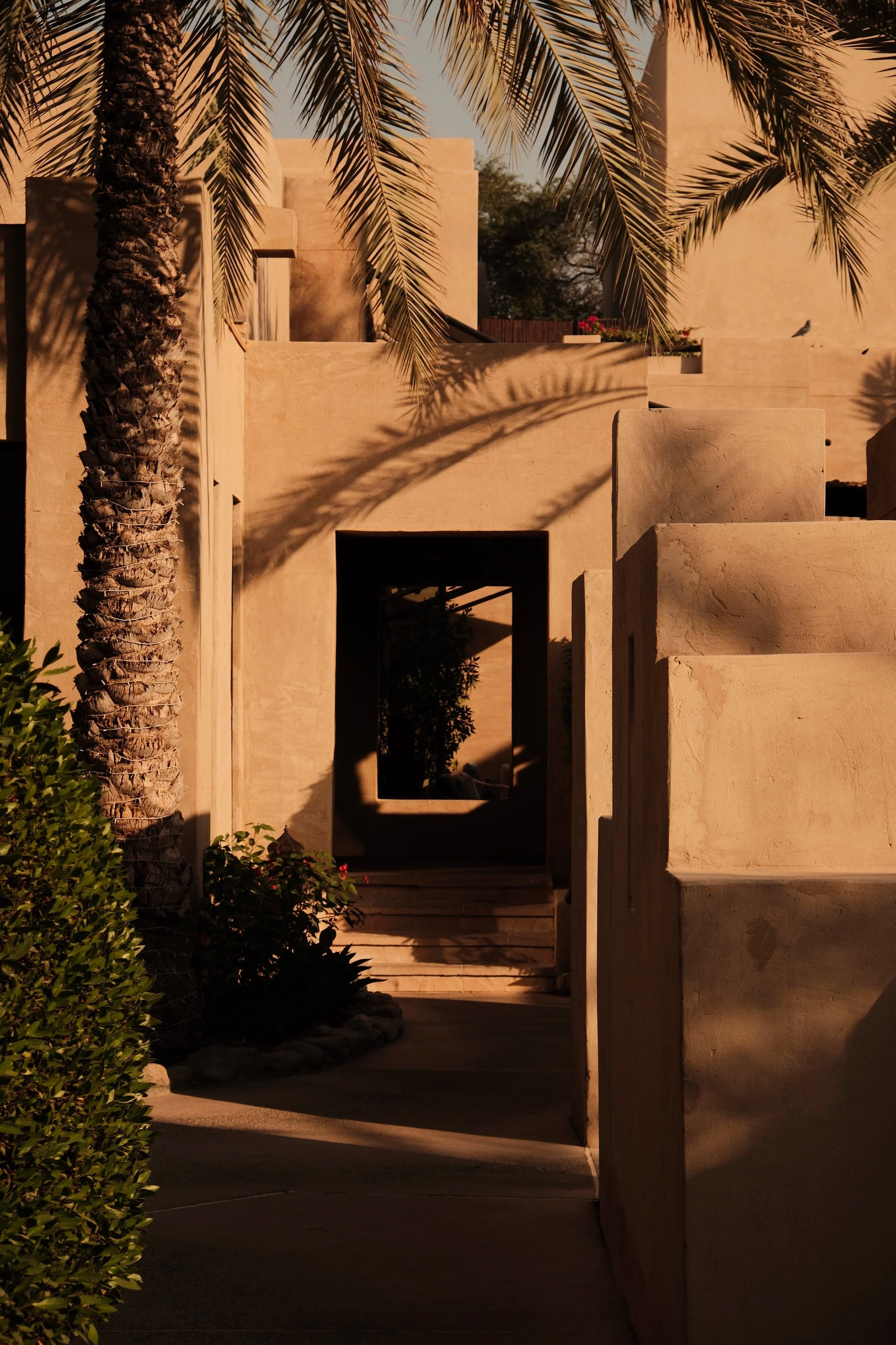 Shadow of palm tree leaves cast on beige stucco walls and stairway outside building during sunset