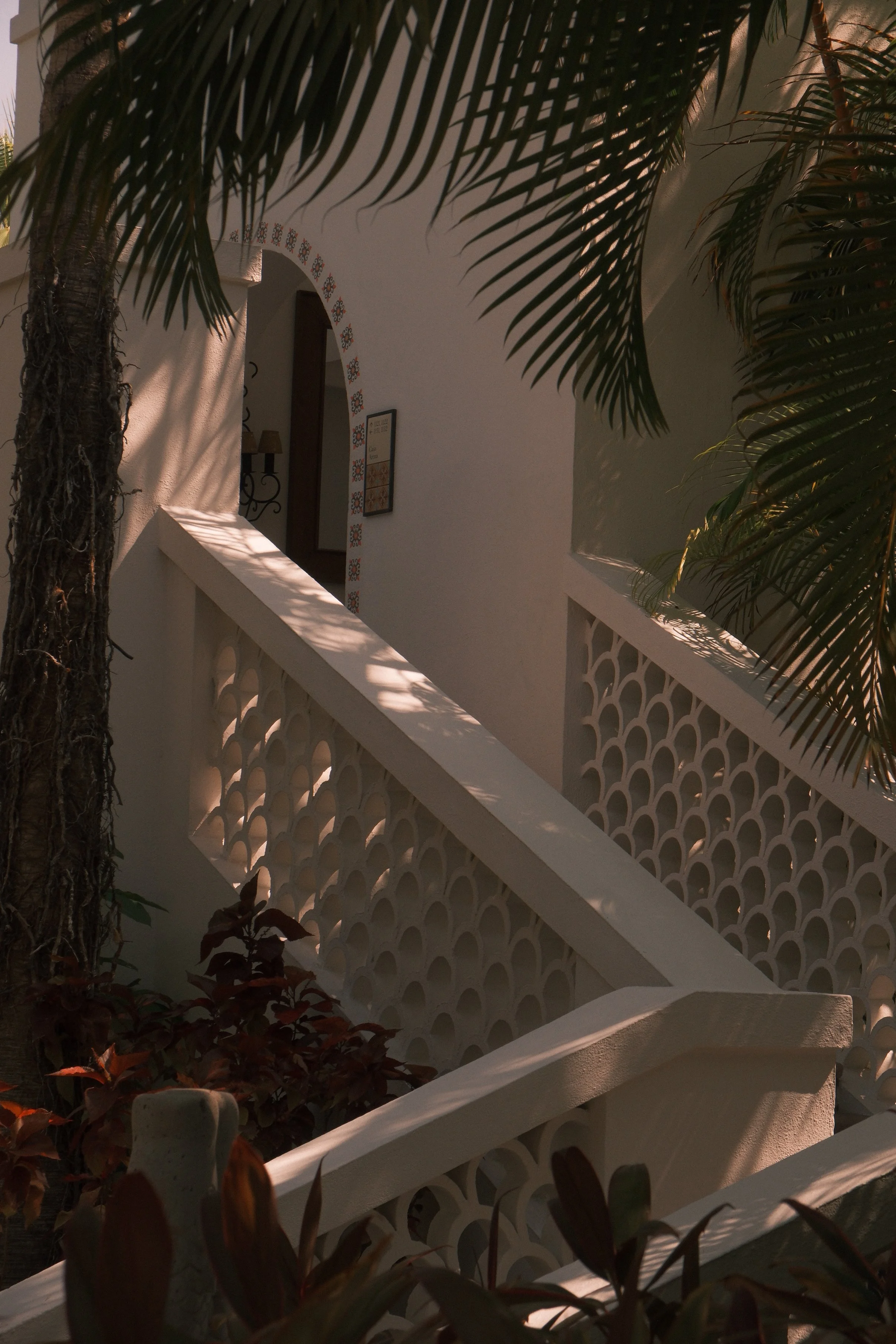 A white staircase with decorative railing, shaded by palm trees and other plants, in sunlight.