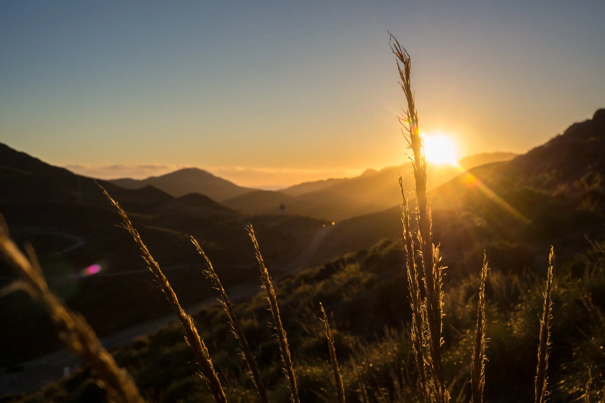 Sunset over rolling hills with dry grass in foreground