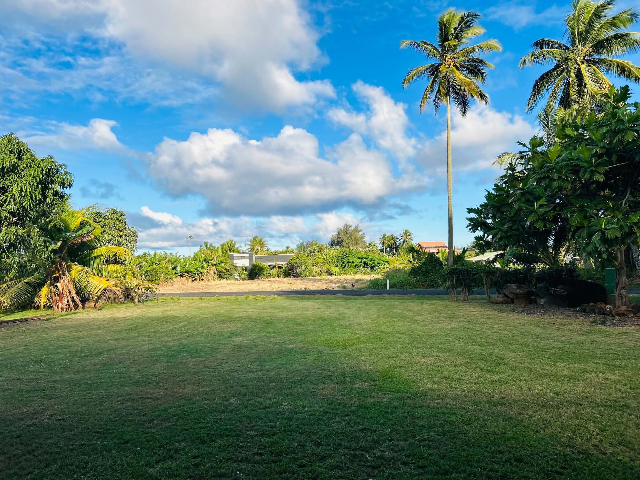 Front yard
