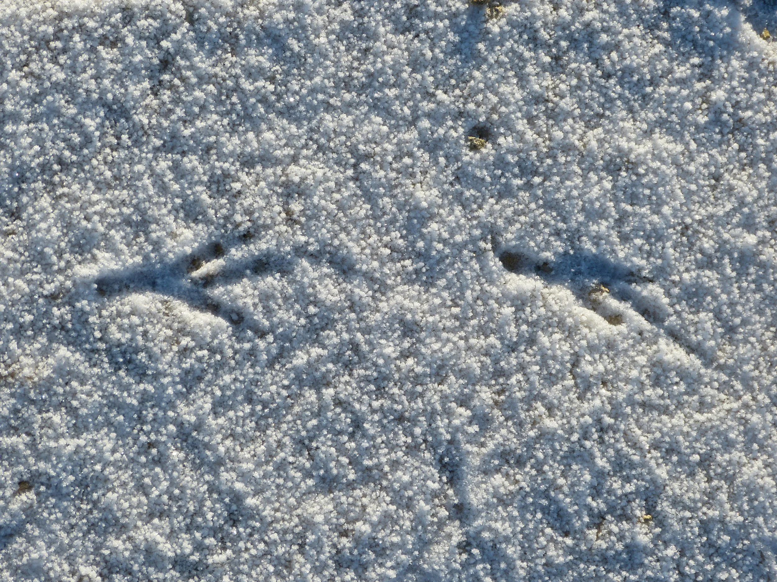 P1050329.JPG