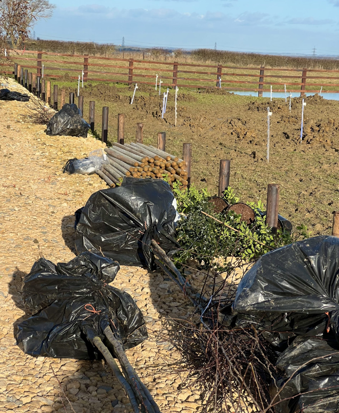 Planting of the Trees and Hedges and Installation of the Gates
