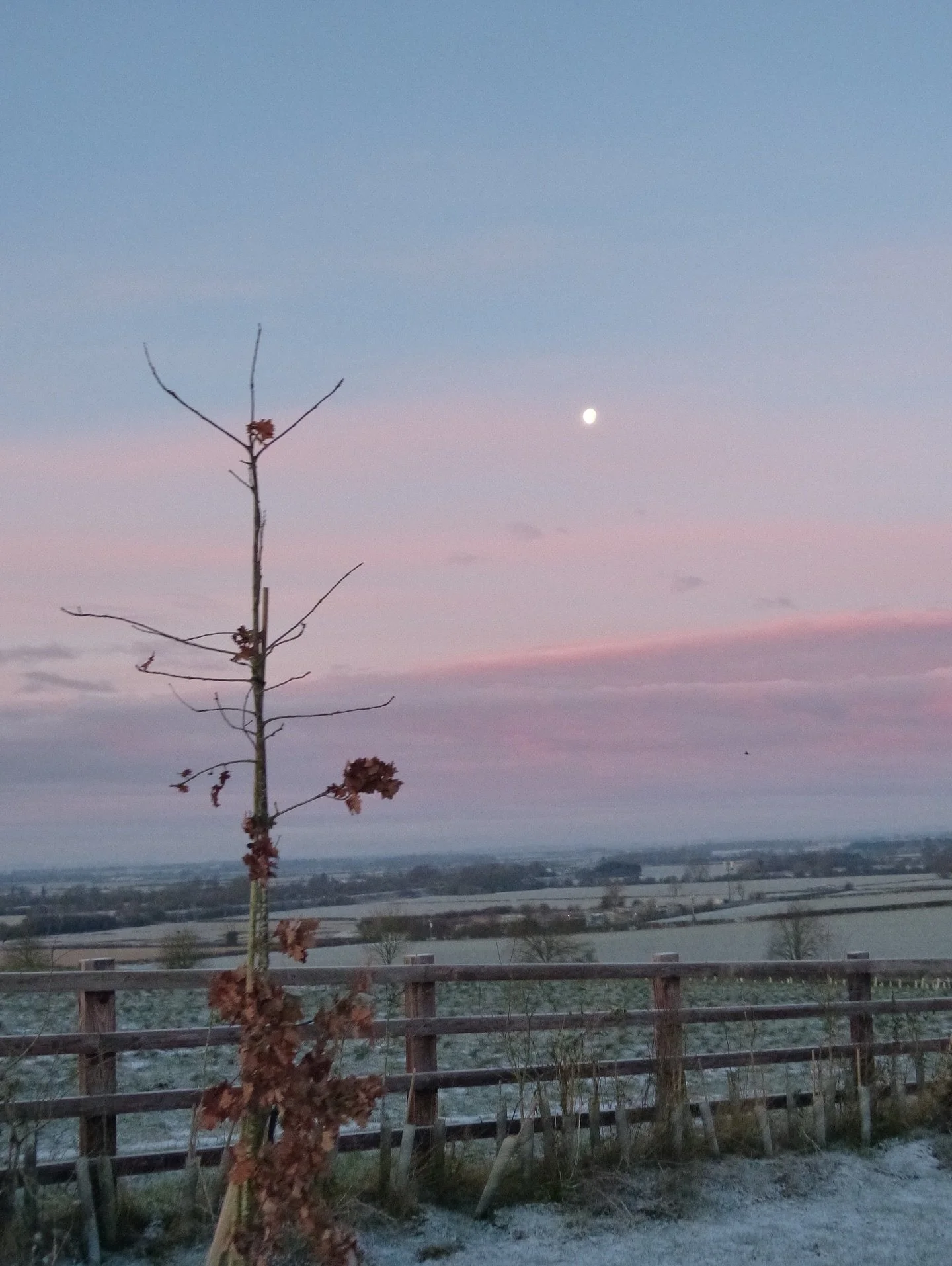 Another beautiful frosty sunrise ❄️🌅