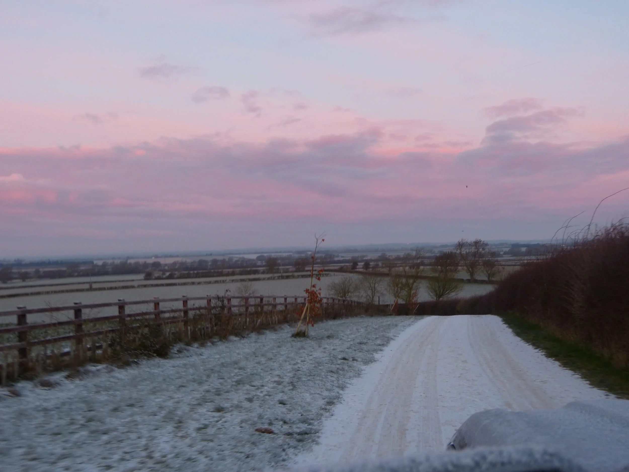 A dirt path with snow on the ground, surrounded by wooden fences and trees, with a cloudy sky at dusk or dawn.