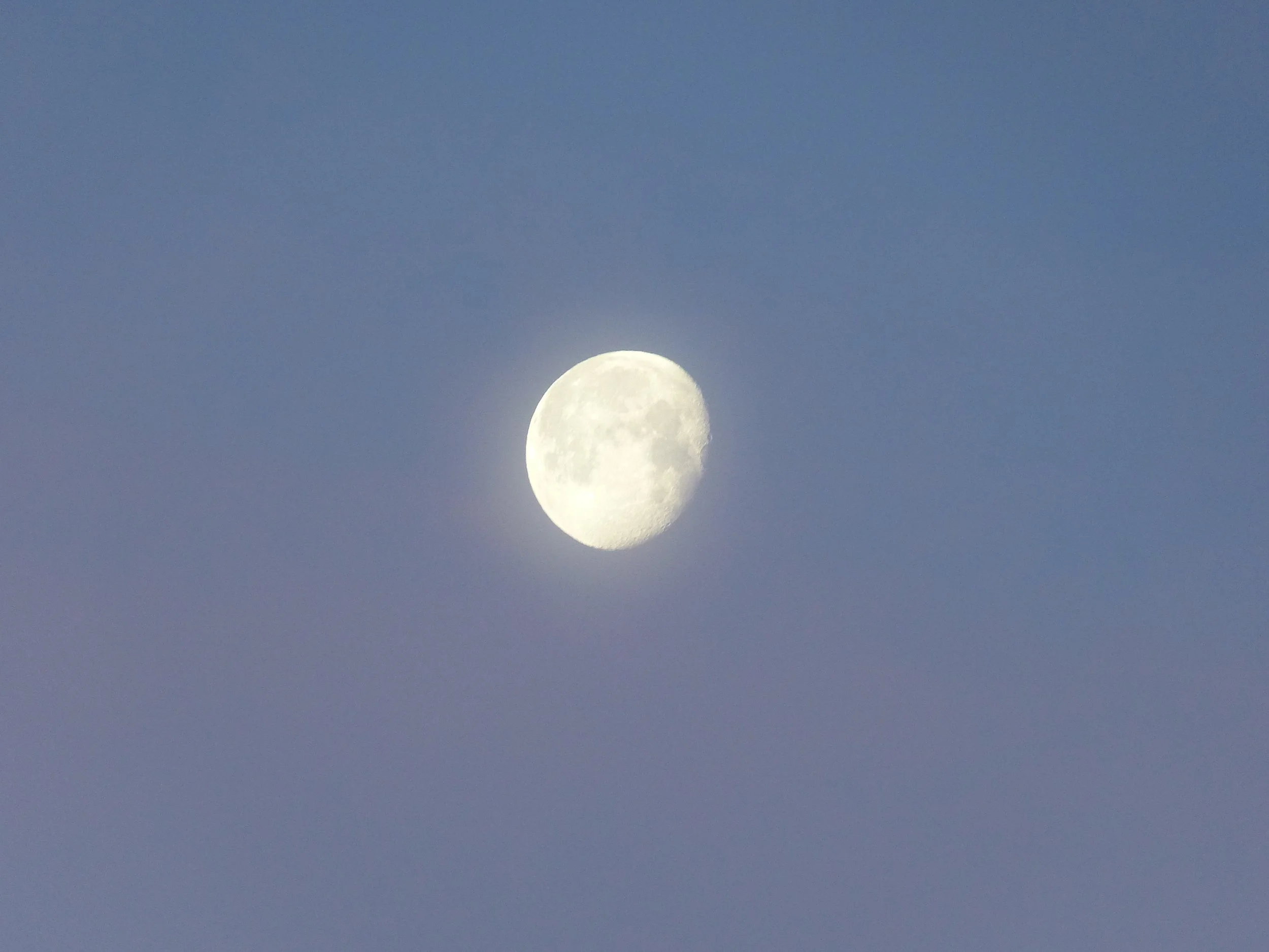A bright, nearly full moon in the sky with some craters visible, set against a clear, dark blue sky.