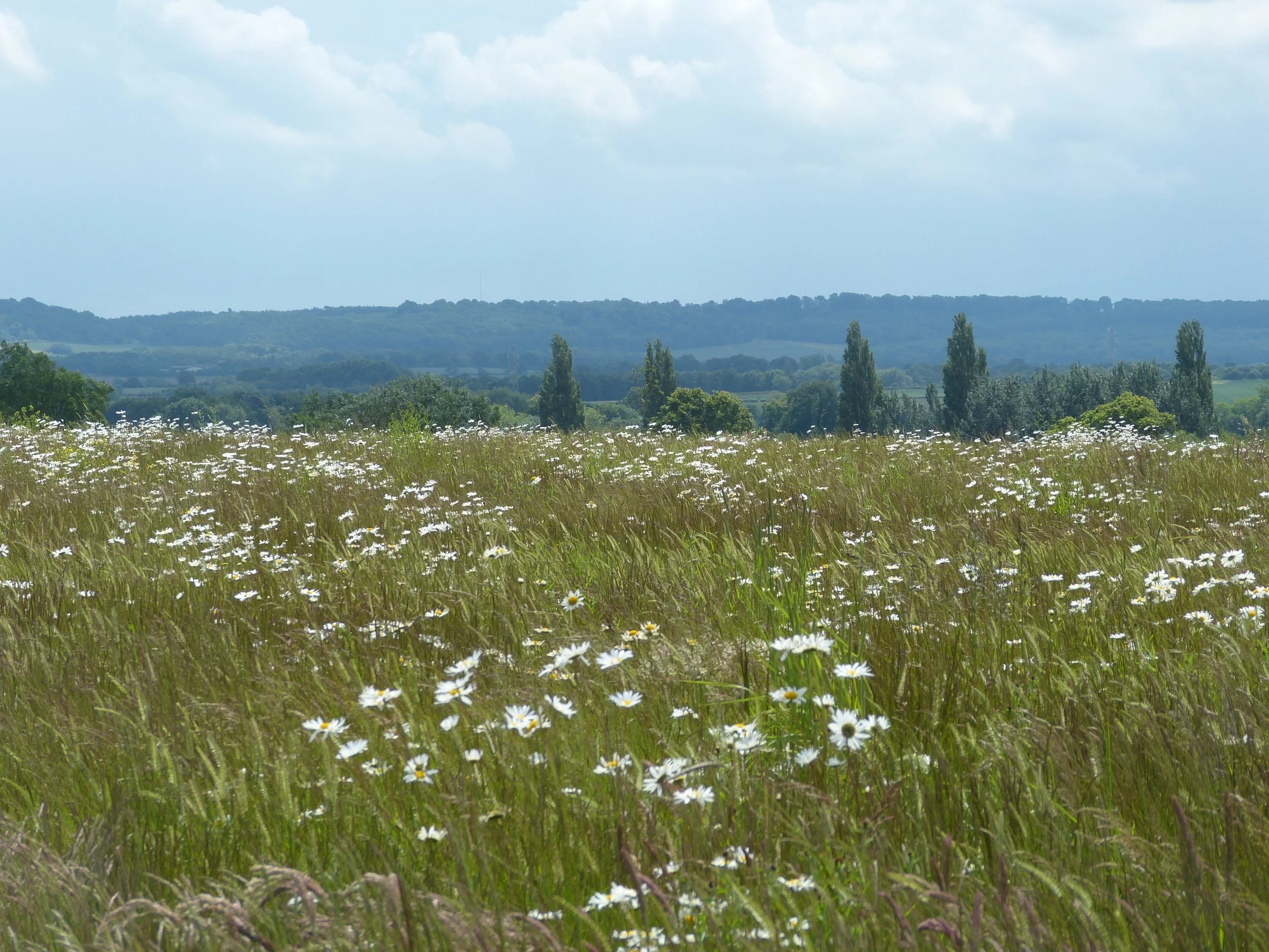 P1050081.JPG