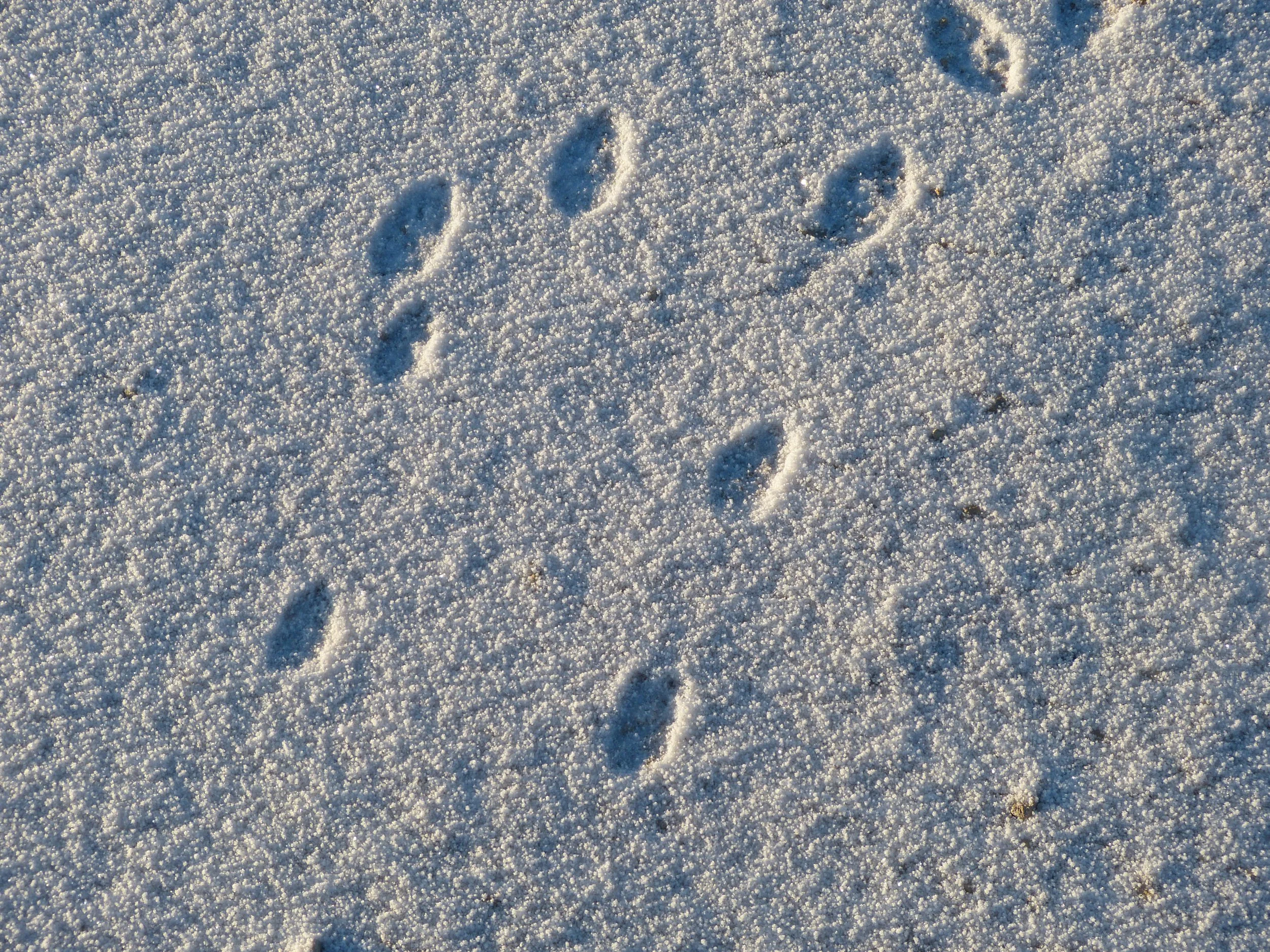 P1050219.JPG