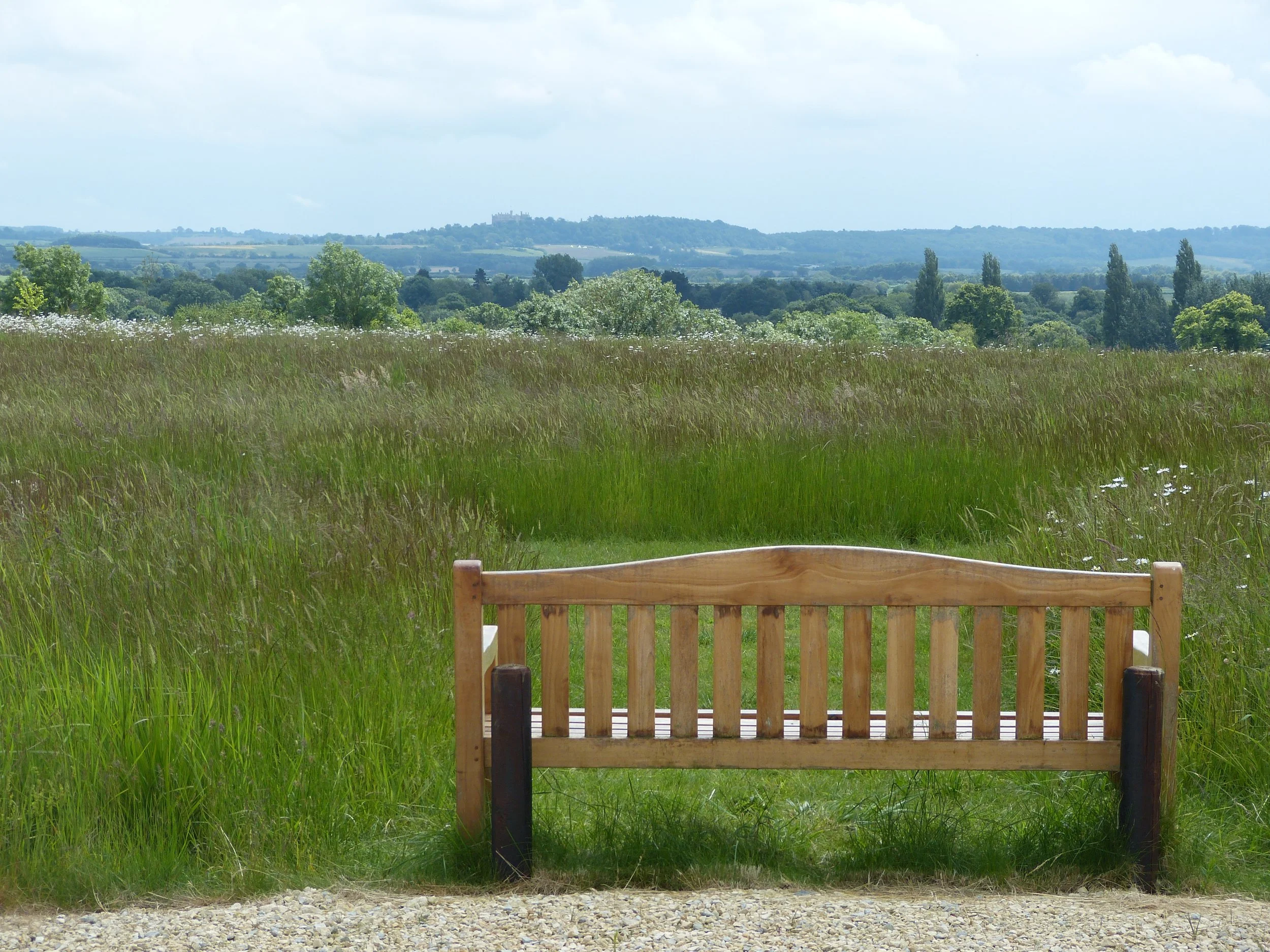 A wooden bench situated on a grassy area with a scenic view of rolling green hills, trees, and a cloudy sky in the distance.
