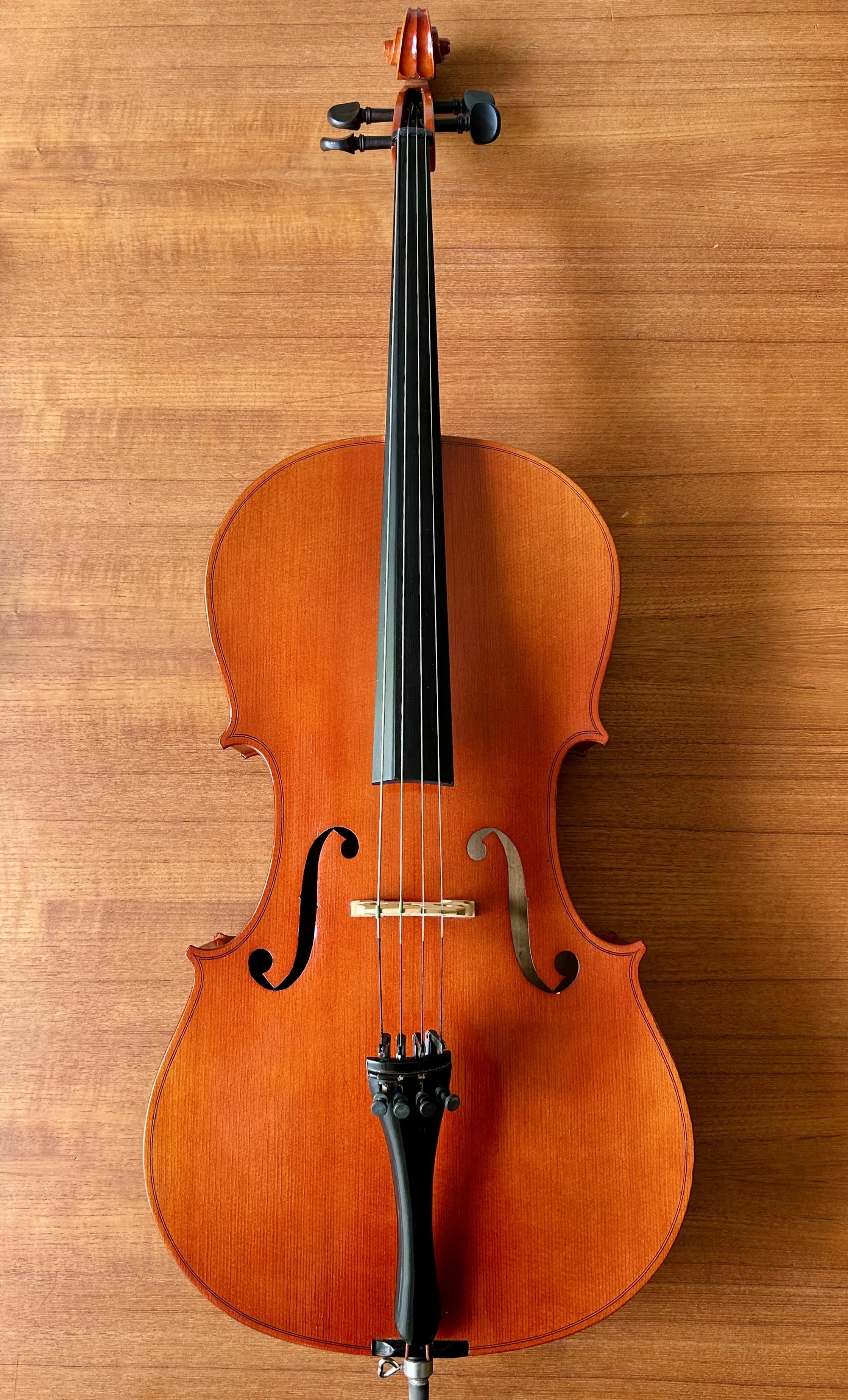 fiol, cello 2.jpg
