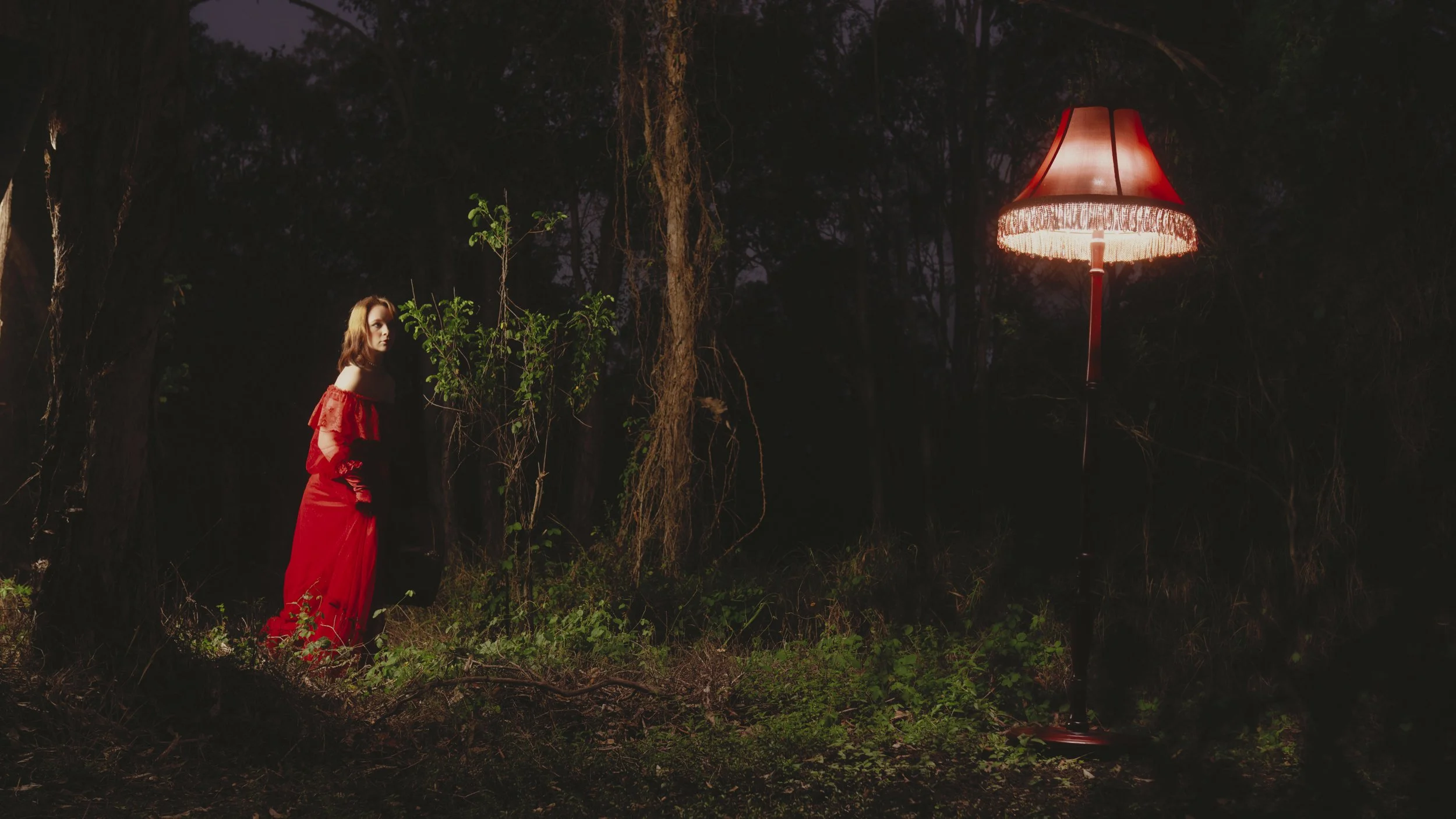 Lured by the Lamplight
