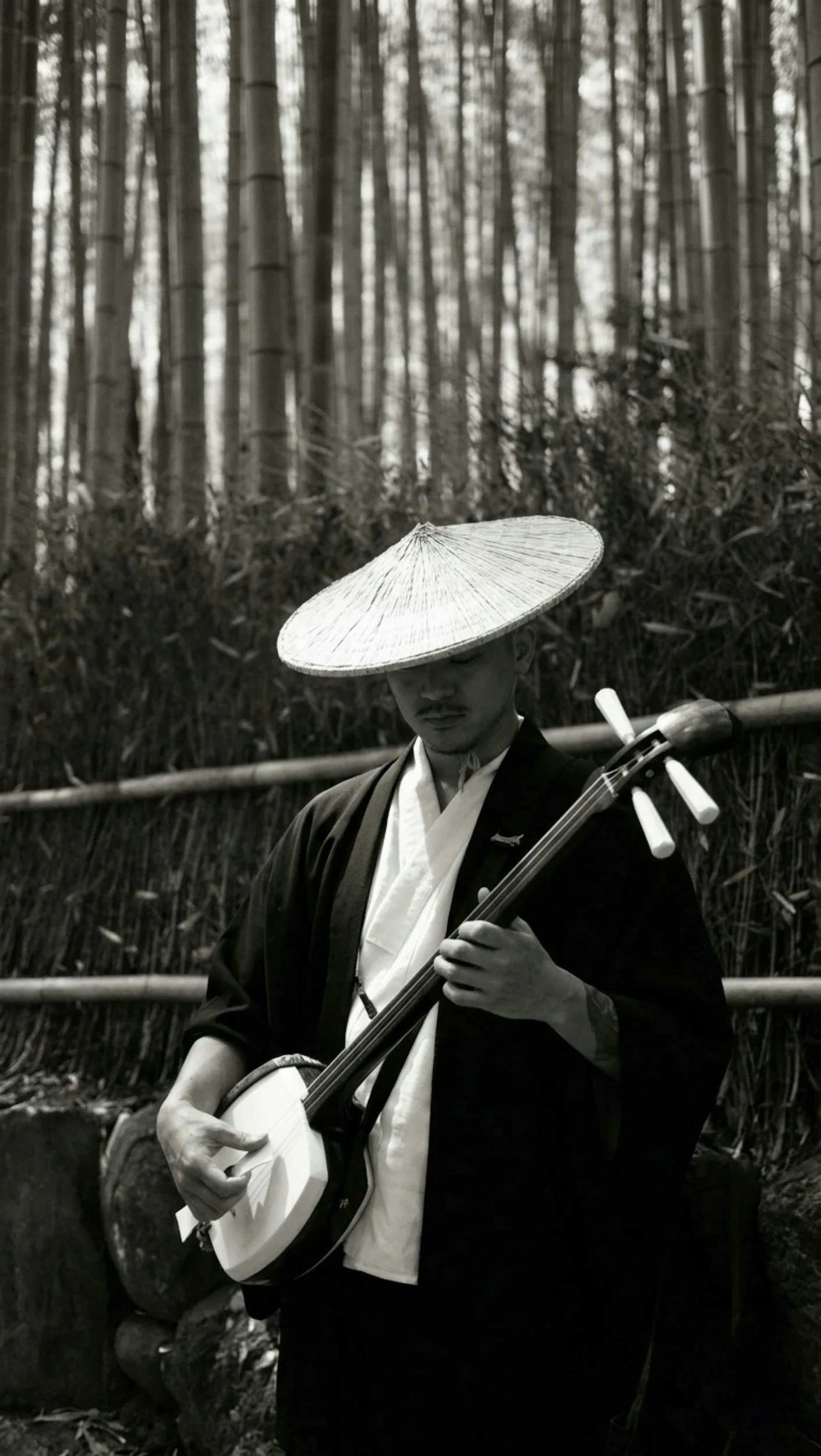 Shamisen Performance, Warrington