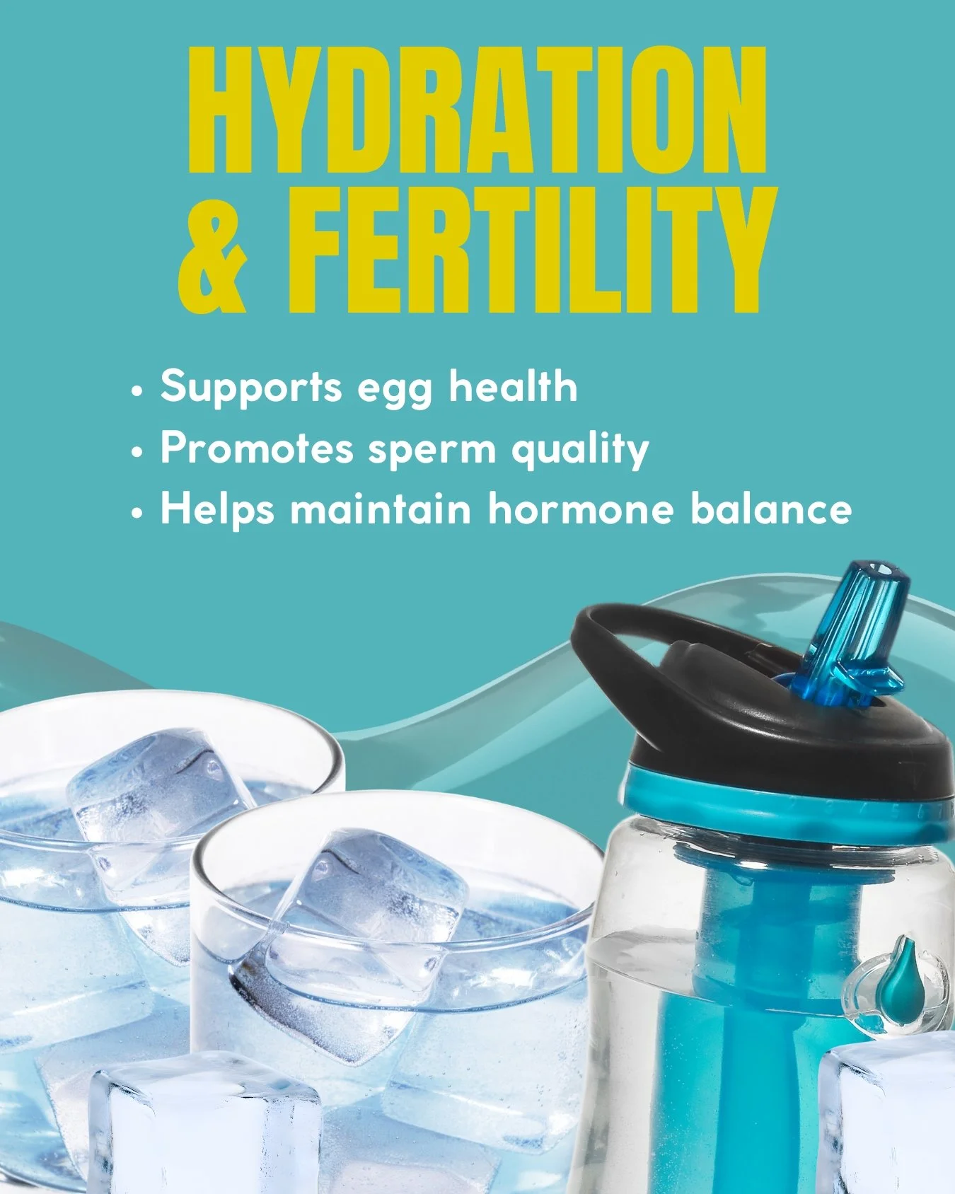Hydration &amp; Fertility: Why Water Matters on Your Fertility Journey?