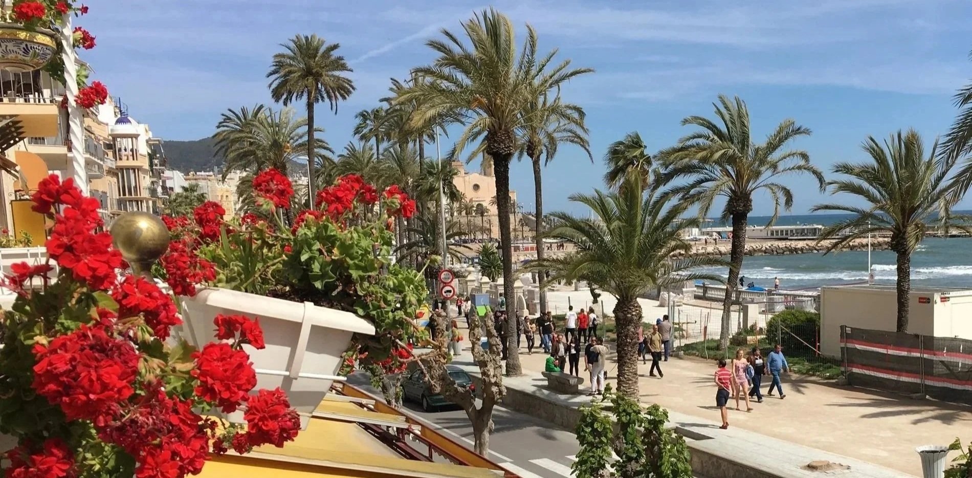 Beachside scene with palm trees, ocean waves, and people walking along a promenade, with colorful flowers in the foreground and buildings on the left.