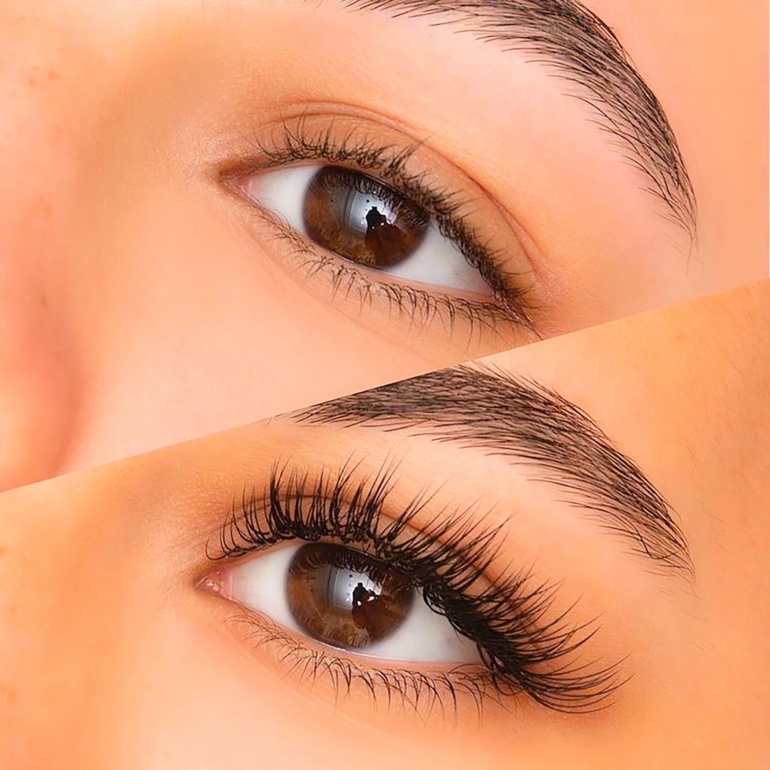 Close-up of a person's eye with brown iris, long eyelashes, and well-groomed eyebrow.