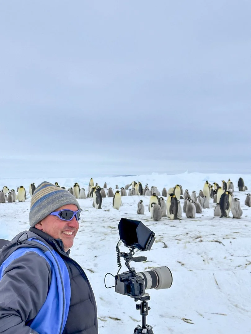 Scott Portelli photographing emperor penguins in Antarctica during a wildlife photography expedition.