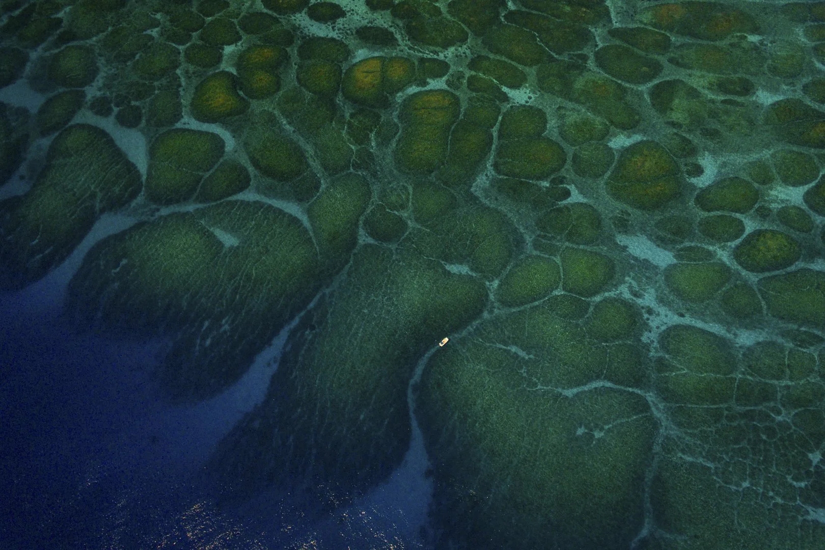 Aerial view of a coral reef in the turquoise waters of Tonga.