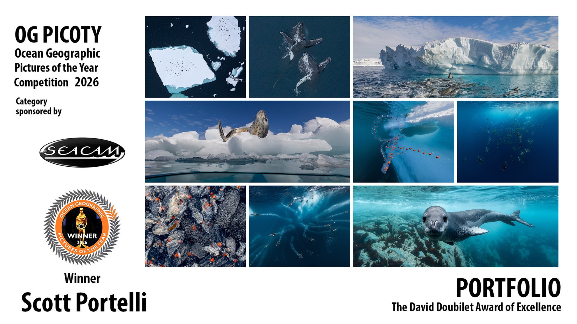 A collage of ocean and polar ice images, including icebergs, whales, seals, underwater scenes with fish and marine life, and people in cold environments, promoting the 2026 Ocean Geographic Pictures of the Year competition.