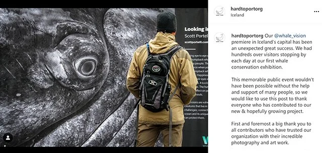 Whale Vision Exhibition in Reykjavík