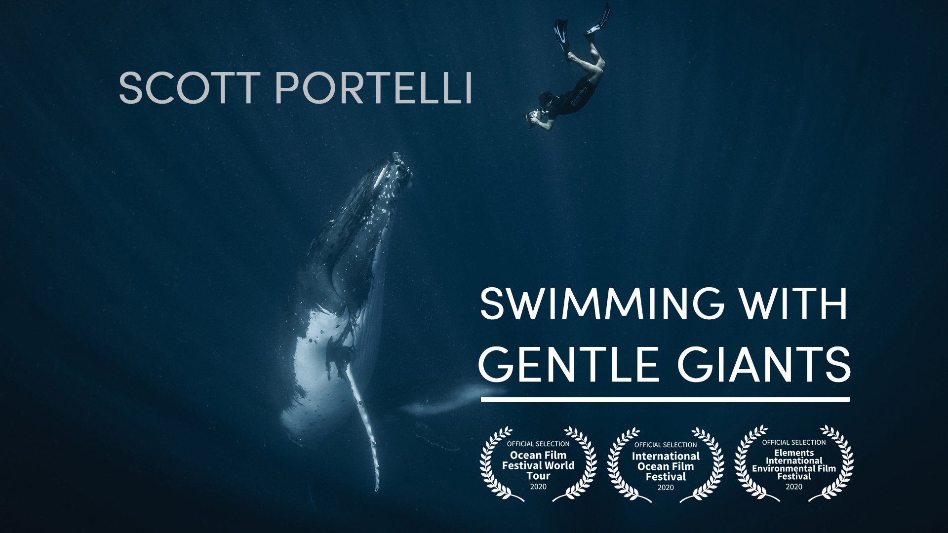 Feature Short Film – International Ocean Film Festival
