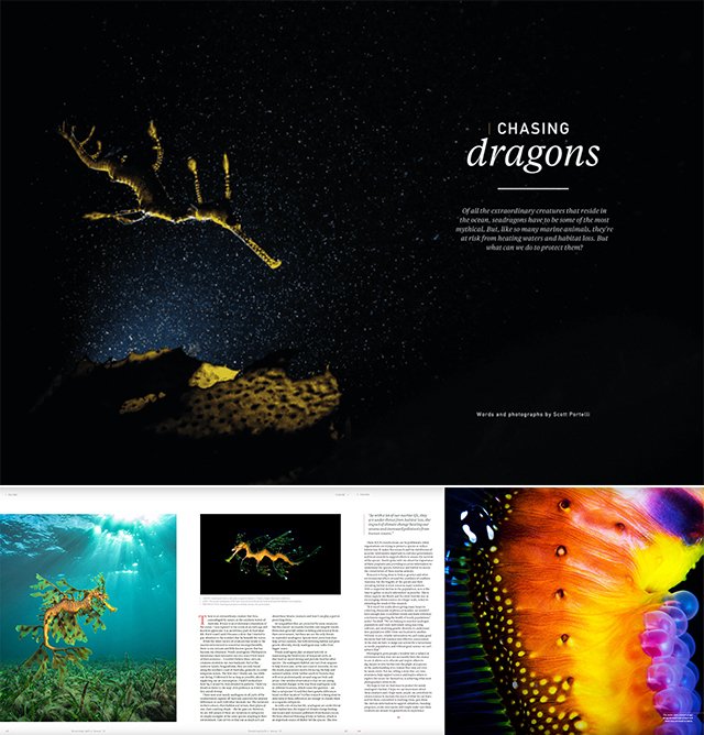 Chasing Dragons – Oceanographic Magazine