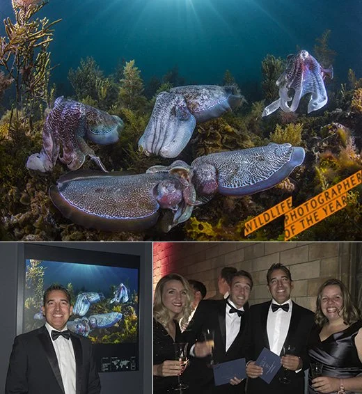 Awarded at Wildlife Photographer of the Year 2016