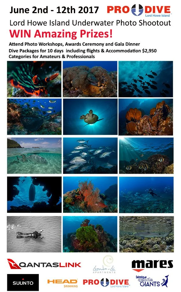 Lord Howe Island Underwater Shootout