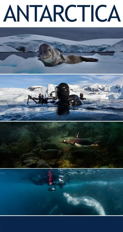 Antarctica Expedition 2016/17