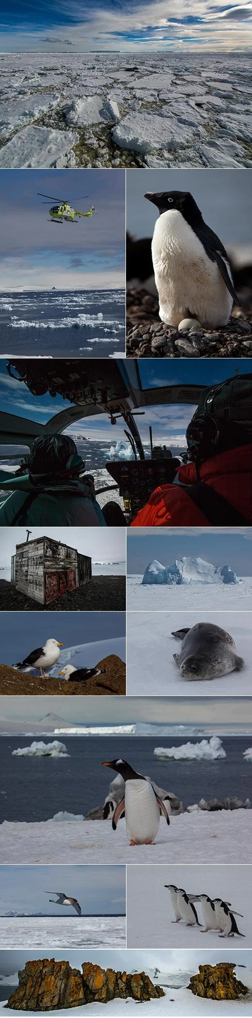 Unpredictable – Expedition to Antarctica
