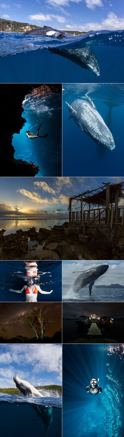 Tonga – Still Paradise