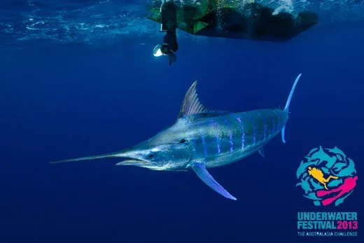 Winner in 3 Categories at the Underwater Festival