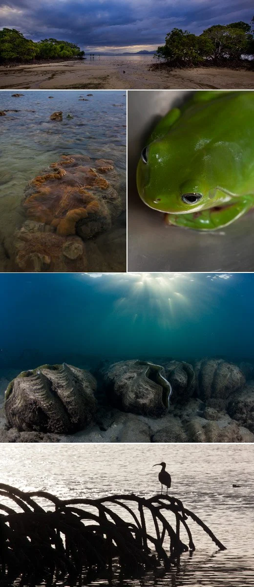 Orpheus Island Photo Workshop