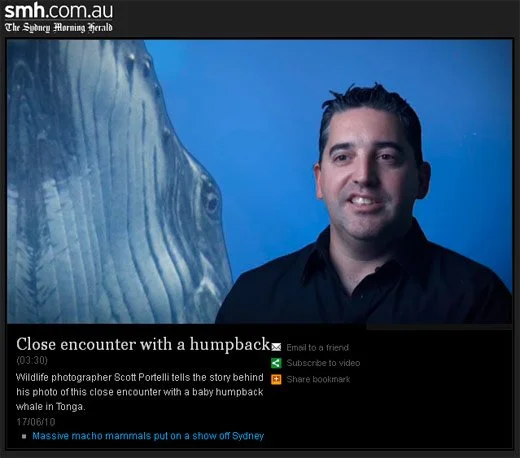 Sydney Morning Herald Video Interview