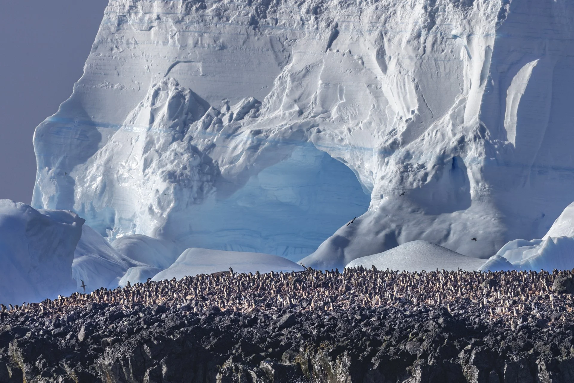 Massive Antarctic iceberg towering above a colony of penguins on the Antarctic Peninsula.