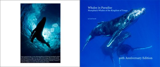 Two pages from a book featuring humpback whales. The left page shows an underwater photograph of a whale, and the right page has text about whales, including the title 'Whales in Paradise' and '10th Anniversary Edition'.