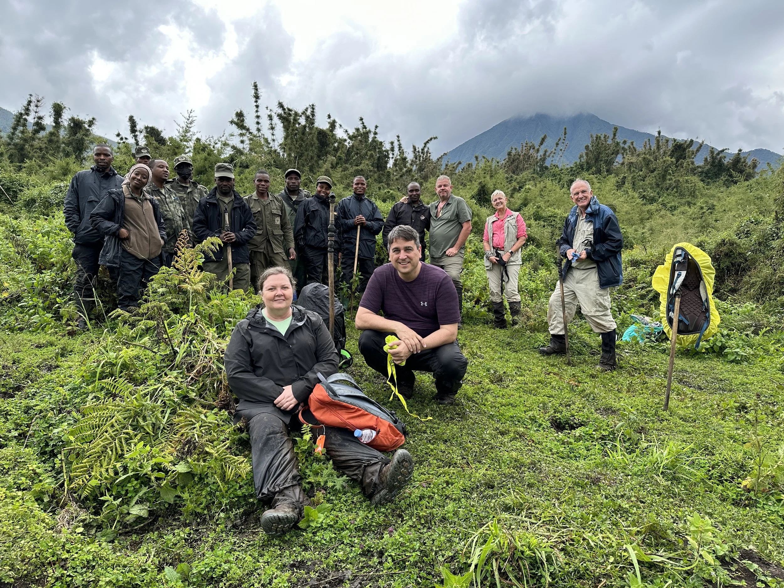 Guests and local guides during a mountain gorilla trekking experience in Volcanoes National Park, Rwanda.