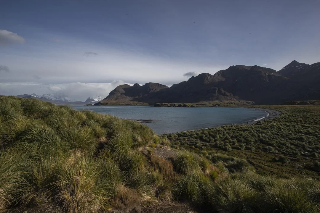 A scenic landscape of a large lake surrounded by green shrubbery, with mountains in the background under a partly cloudy sky.