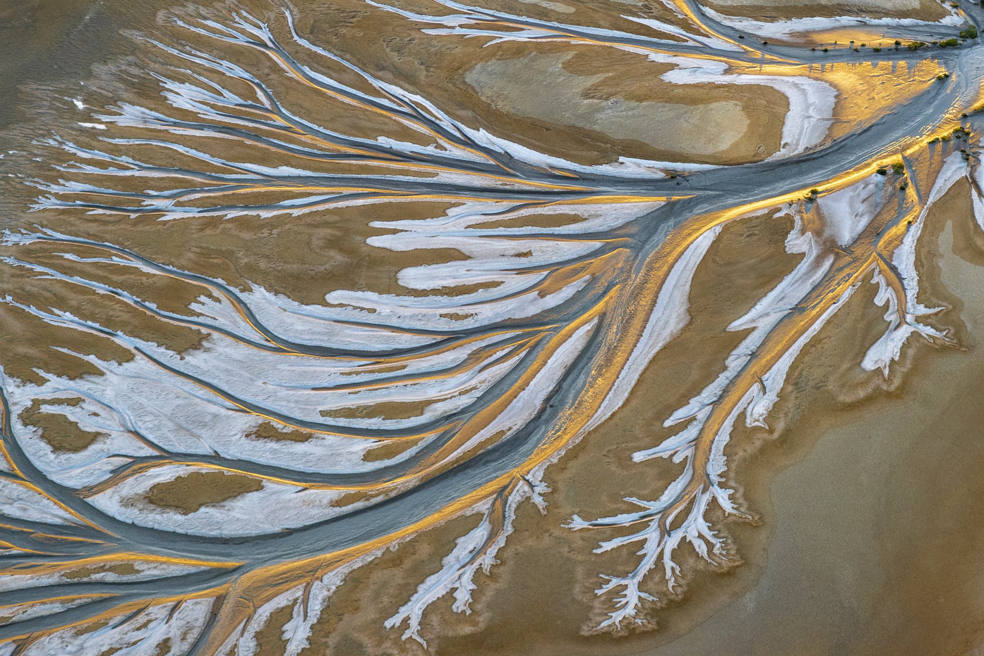 Aerial view of river delta, showing numerous branching channels with brown land and white salt flats, illuminated by sunlight.