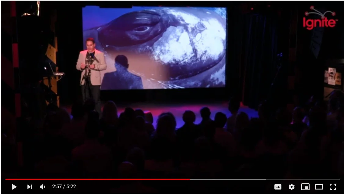 A man in a gray blazer stands on a stage in front of a large screen displaying an animated image of an animal's face, possibly a frog, with a blue background. There is an audience watching him. The event appears to be part of Ignite, as indicated by the red Ignite logo in the top right corner.